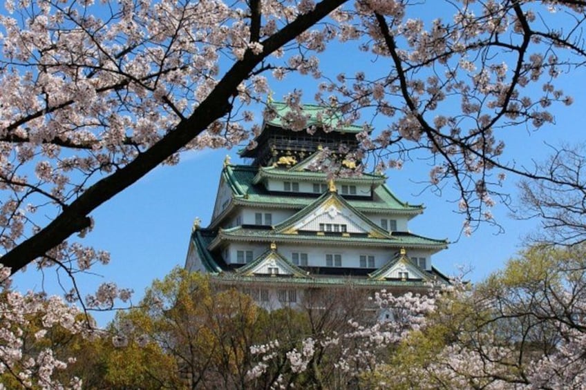 Customizable Private Tour in Osaka Nara Kobe and Kyoto 1