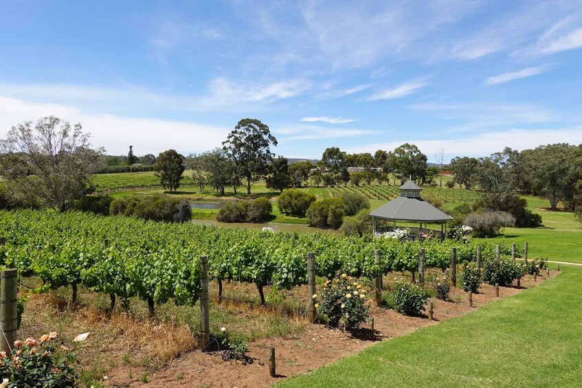 Swan Valley Private Tour 1
