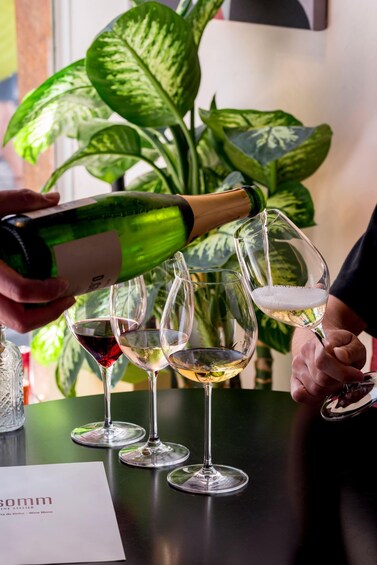 Picture 1 for Activity Coimbra: Guided Wine Tasting with Regional Bites 3