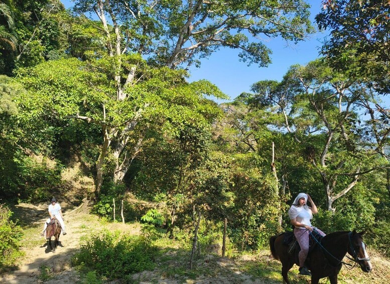 Picture 6 for Activity Santa Marta: Mamaduwanaby Sacred Kogui Horseback Riding Experience (6 hours) 2