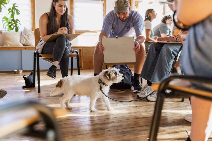 Bristol: Dog Life Drawing led by local Artist Cai Burton 1