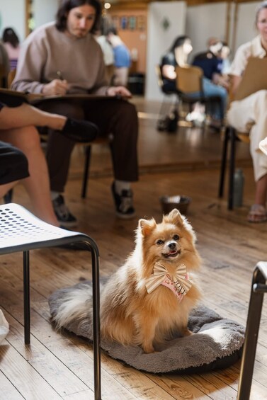 Picture 3 for Activity Bristol: Dog Life Drawing led by local Artist Cai Burton 2