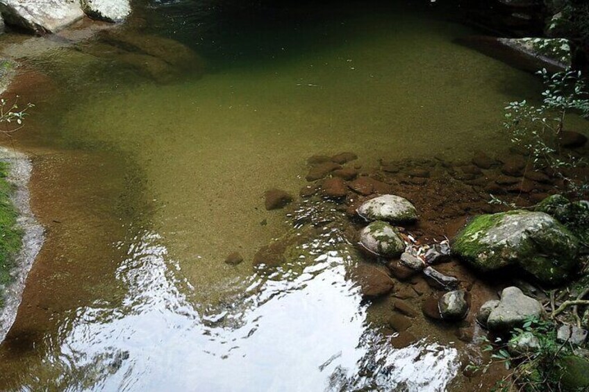 Jeep tour through Ilhabela State Park