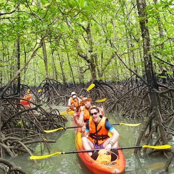 People kayaking in a mangrove forest. 1