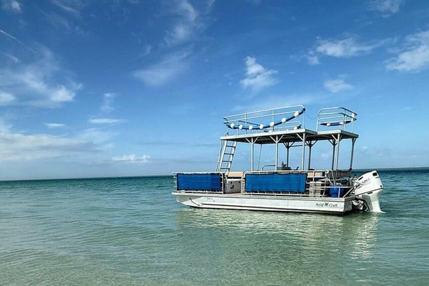 4 Hour Anna Maria Island Snorkeling and Sandbar Tour 1