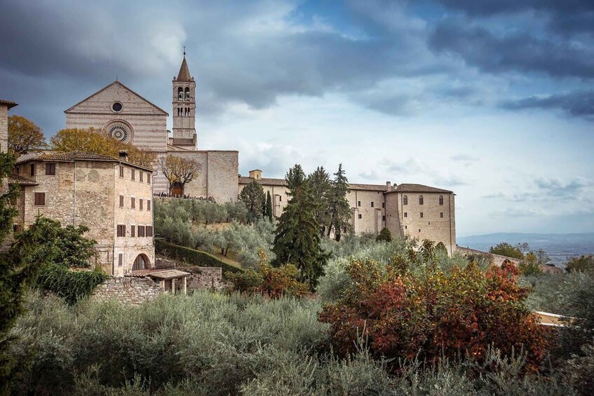 Picture 1 for Activity Assisi: The life of Saint Francis by Tuk Tuk, Italian driver 3