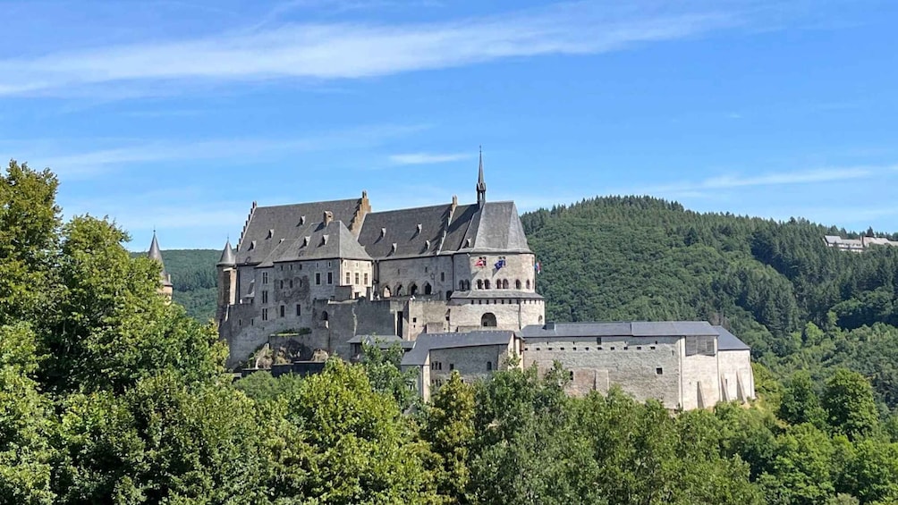 A large castle surrounded by lush greenery and a forested hill. 1