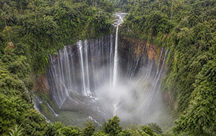 Picture 9 for Activity Yogyakarta to Bali with Bromo & Tumpak Sewu Private Tour 1
