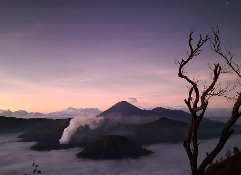 A volcano with smoke, surrounded by mountains and a tree in the foreground. 1