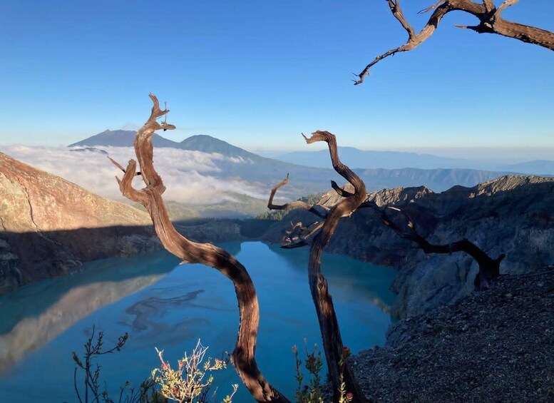 A mountain landscape with a lake and dead tree branches. 3