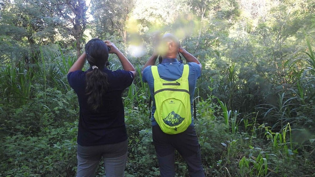 Picture 4 for Activity West Bali: 2-Hour Bird Watching Tour in the National Park 5