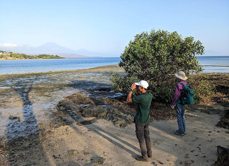 Picture 3 for Activity West Bali: 2-Hour Bird Watching Tour in the National Park 4