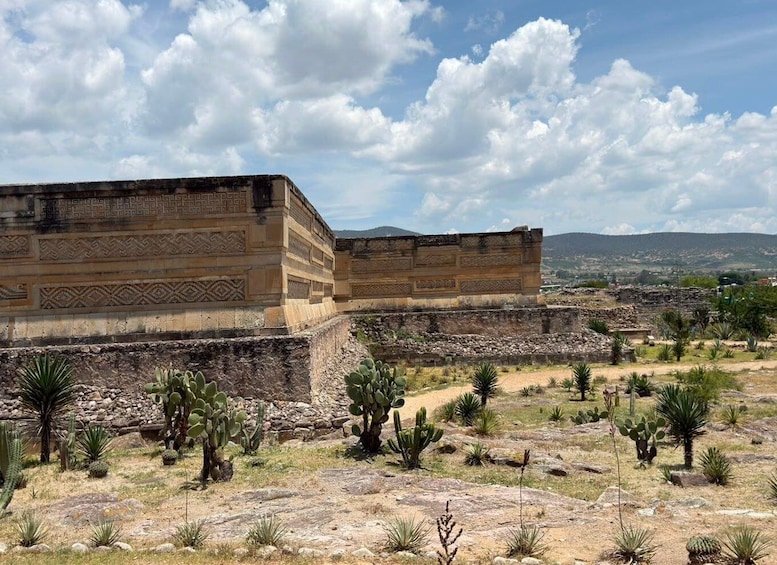 Picture 12 for Activity Oaxaca: Hierve El Agua, El Tule, Mitla and Mezcal Tasting 2