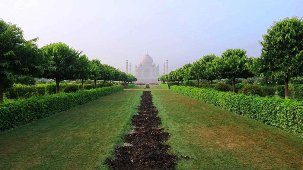 A garden pathway leading to a large white building with domes, surrounded by neatly trimmed hedges and trees. 2