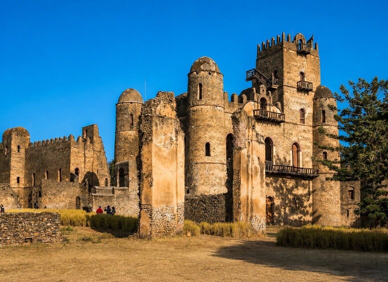 Picture 1 for Activity Gondar: 7-Day Lalibela and Danakil Depression Tour 4