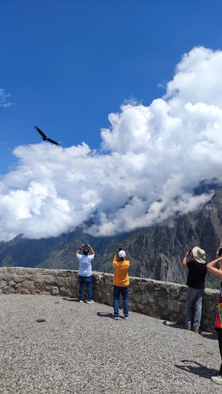 Picture 3 for Activity From Arequipa: Colca Canyon Tour Full day with Puno Transfer 1