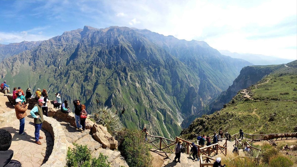 Picture 9 for Activity From Arequipa: Colca Canyon Tour Full day with Puno Transfer 3