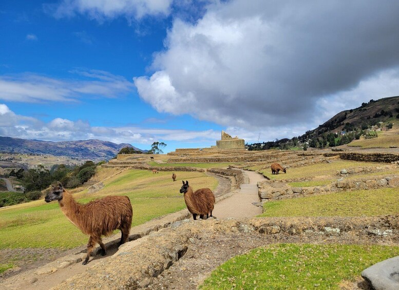 Picture 2 for Activity Full-Day Ingapirca, Gualaceo & Chordeleg from Cuenca 5