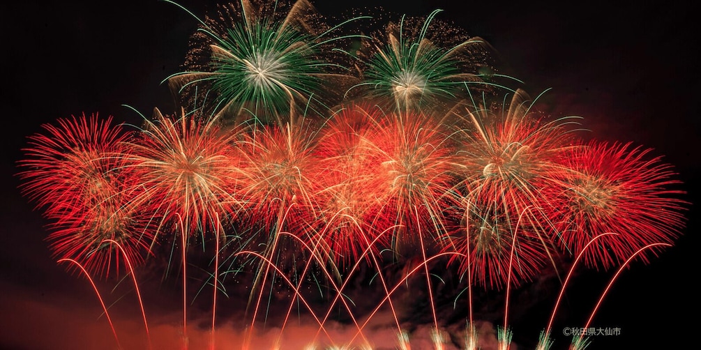 A night sky with multiple fireworks exploding in various colors. 4