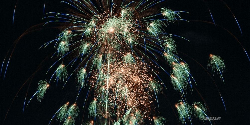 A night sky with fireworks exploding in various patterns and colors. 5