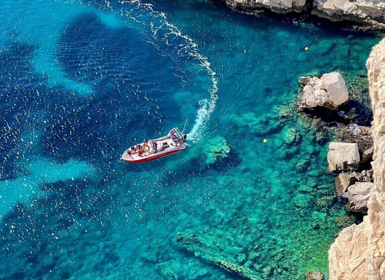 Picture 2 for Activity From Marseille: Iconic Calanques Boat Tour with Swimming 2