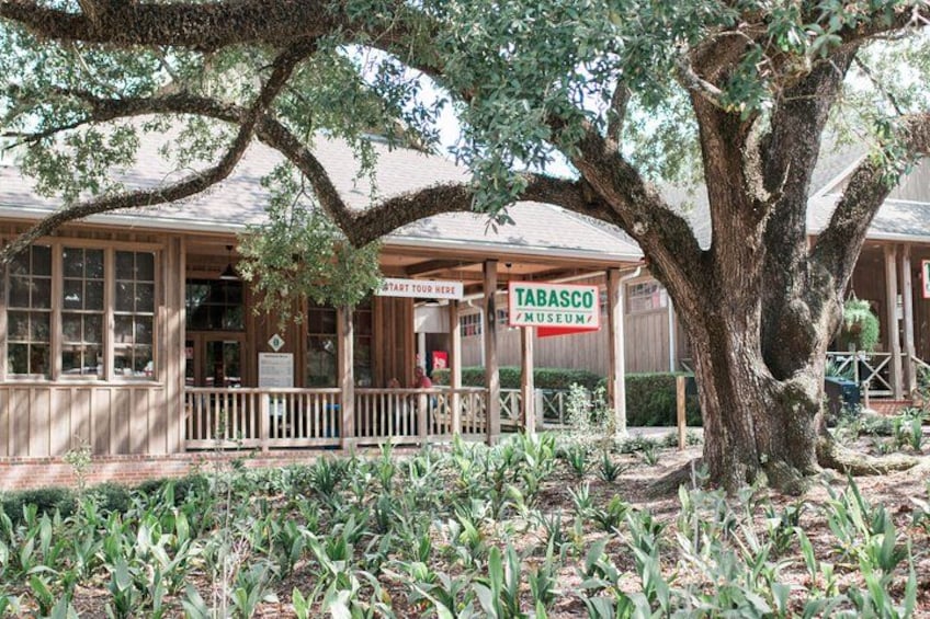 Avery Island Experience- Tabasco & Jungle Gardens Self-guided tour 2