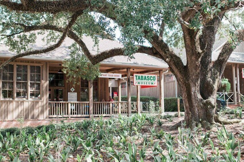 Un bâtiment en bois avec une enseigne indiquant « Musée Tabasco » et un grand arbre au premier plan. 2