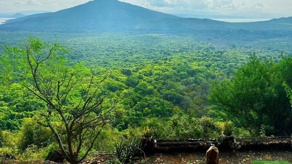 Un paysage verdoyant et luxuriant, avec une montagne en arrière-plan. 4