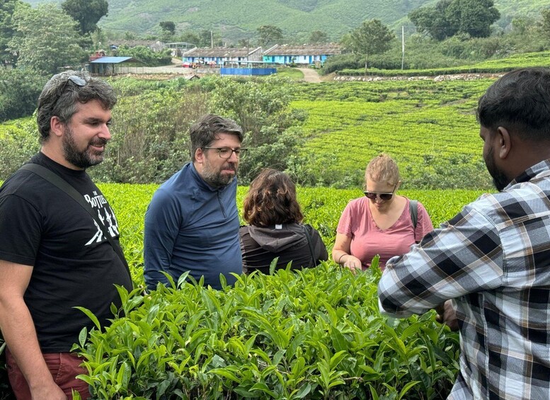 A group of people standing and sitting in a lush green tea plantation with a blue building in the background. 1