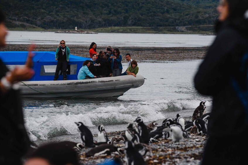 Picture 8 for Activity USHUAIA: ALMANZA, THE CRAB ROUTE & PENGUIN WATCHING 5
