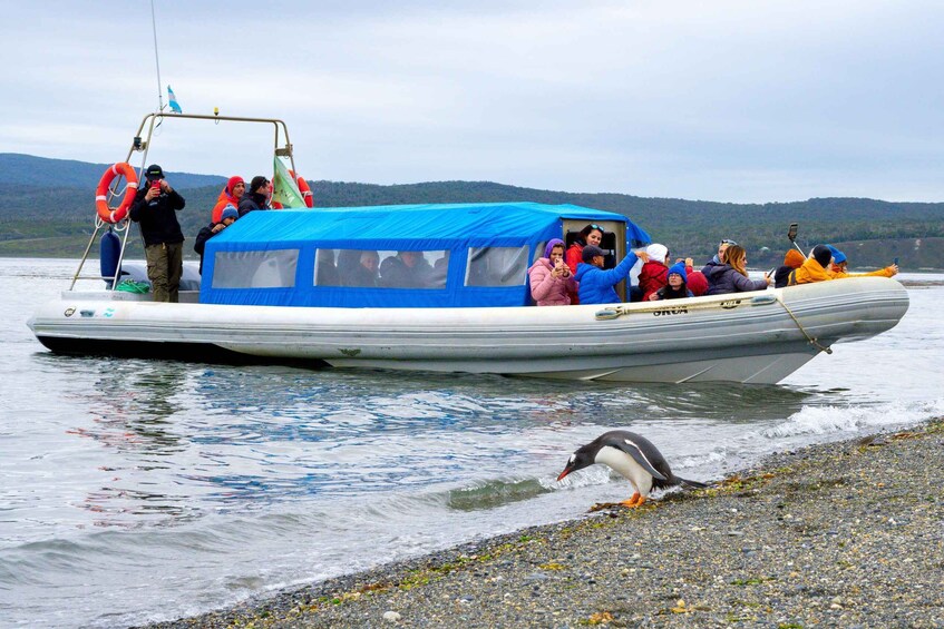 Picture 3 for Activity USHUAIA: ALMANZA, THE CRAB ROUTE & PENGUIN WATCHING 3