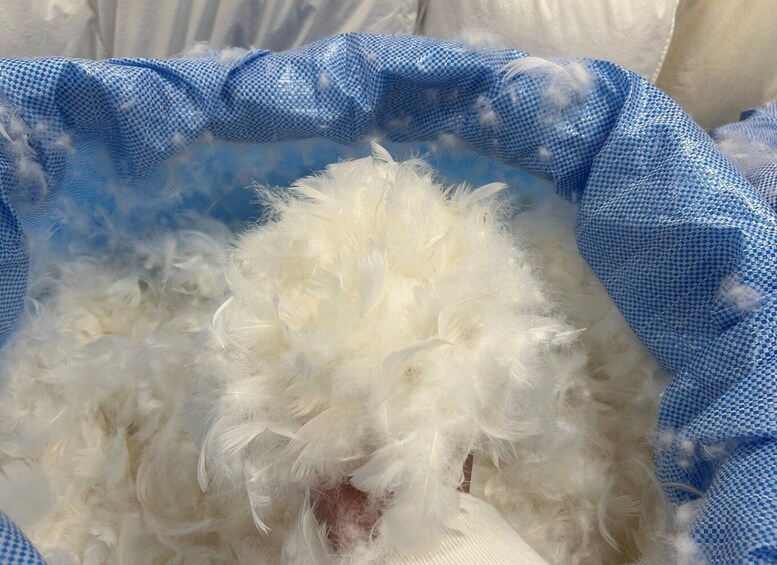 A blue and white checkered fabric with a pile of white feathers. 2