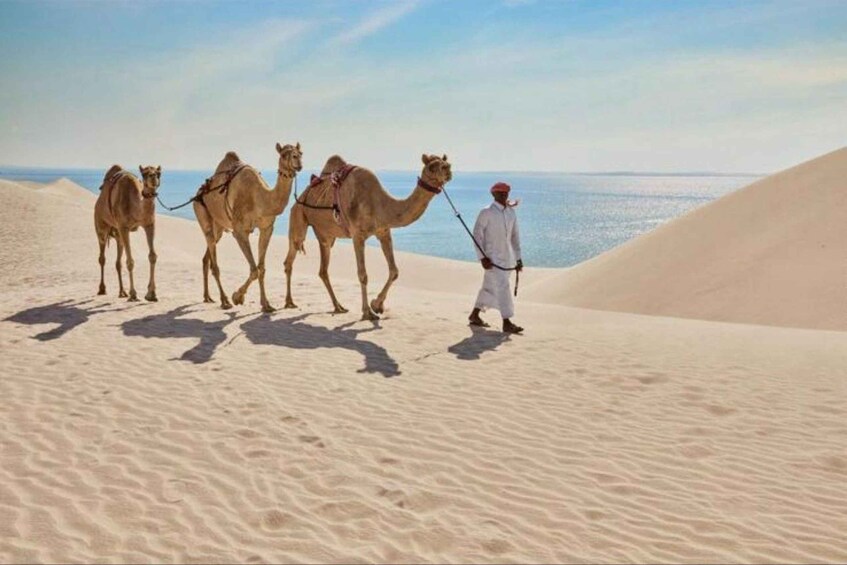 A person leading camels across a desert landscape with sand dunes and a body of water in the background. 5