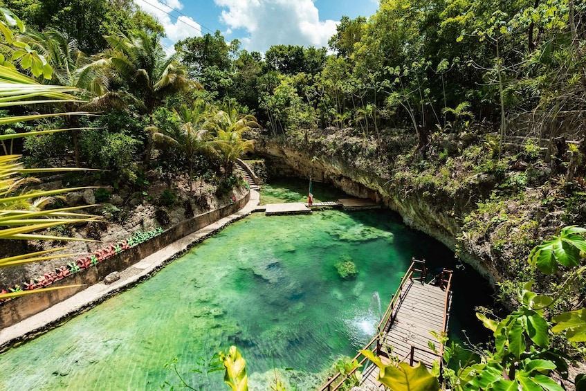 Picture 7 for Activity Cancun: Mayan Jungle Rush Zipline, ATV, & Cenote Tour 2