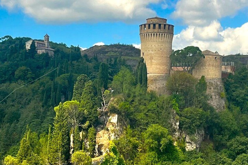 A medieval castle on a hill surrounded by dense forest. 1