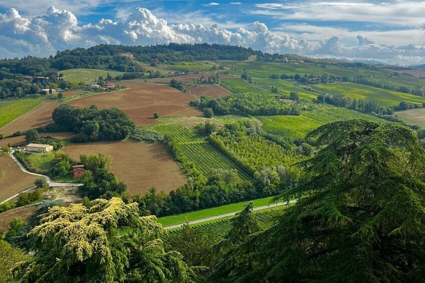 A rural landscape with rolling hills, fields, and a winding road. 5