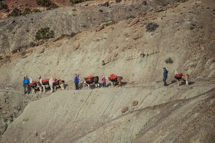 Un grupo de personas con llamas en una ladera rocosa. 2
