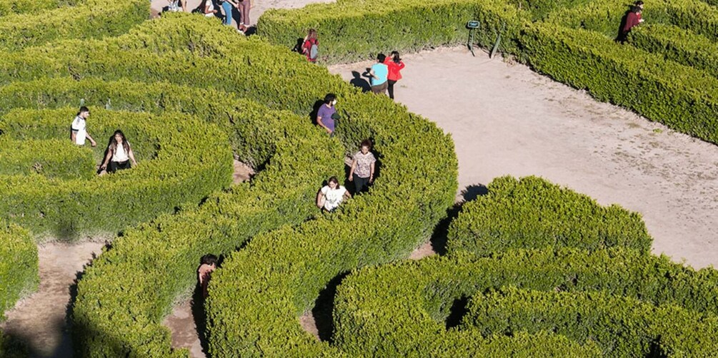 Picture 8 for Activity Mendoza: Borges Labyrinth: Lunch, Literary Workshop & Winery 2