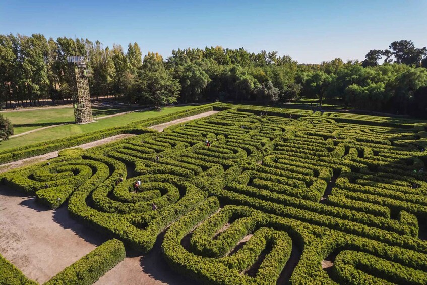 Picture 20 for Activity Mendoza: Borges Labyrinth, Literary Workshop, Lunch & Wine 2