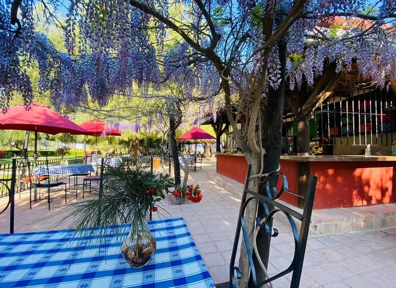 Picture 27 for Activity Mendoza: Borges Labyrinth, Literary Workshop, Lunch & Wine 5