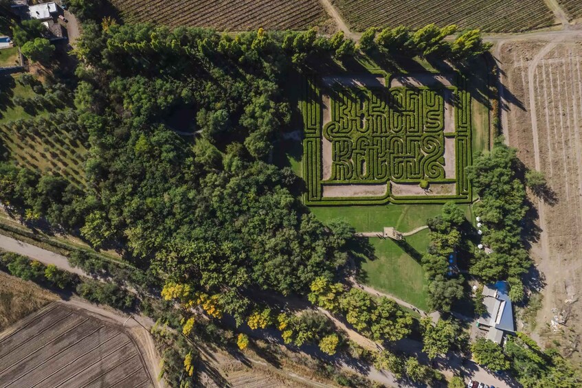 Picture 32 for Activity Mendoza: Borges Labyrinth, Literary Workshop, Lunch & Wine 4