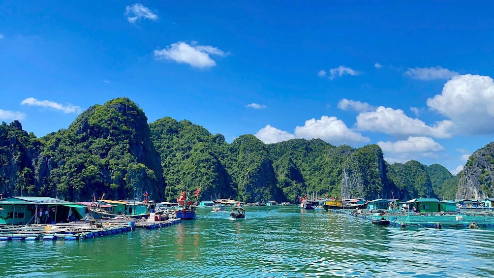 Picture 5 for Activity Stunning Lan Ha Bay Sunset Tour from Cat Ba Island 2