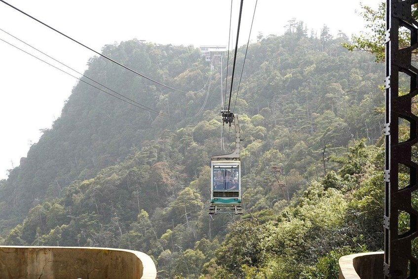 A cable car ascending a lush, forested mountain. 2