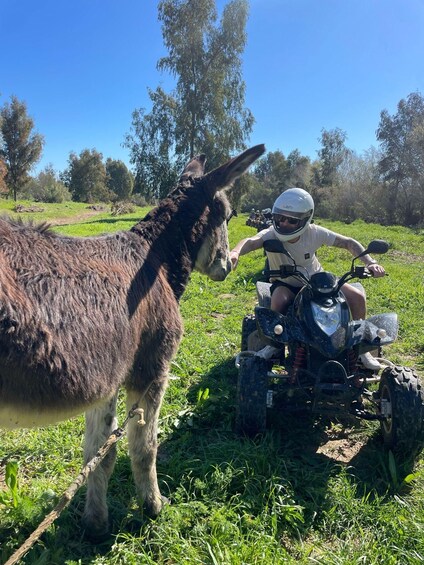 Picture 9 for Activity Málaga: Tour Off-Road 1-Hour Solo All-Terrain Quad Adventure 3