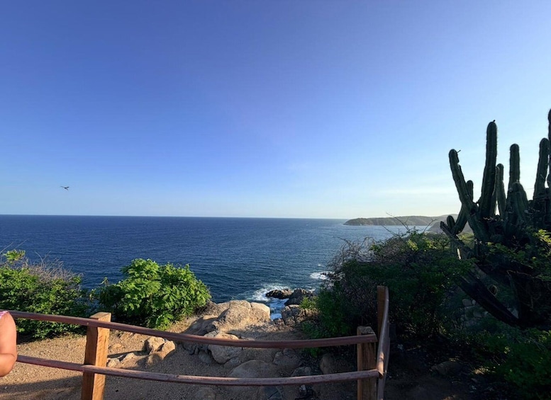 A coastal landscape with a wooden fence, cacti, and a clear blue sky. 5