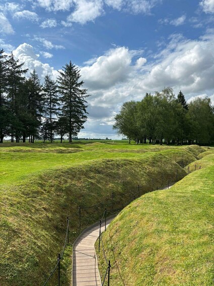 A winding path through a grassy field with trees on either side. 5