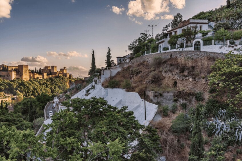 A hillside with buildings, trees, and a clear sky. 3