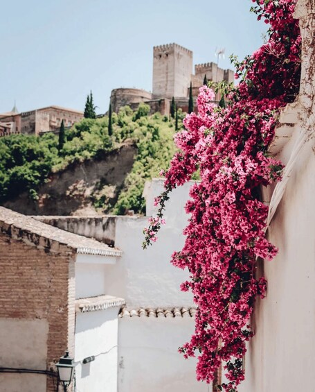 A building with pink bougainvillea flowers, a stone wall, and a distant castle. 4