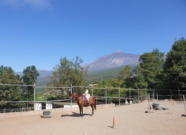 A person riding a horse in an outdoor arena with a mountain in the background. 2