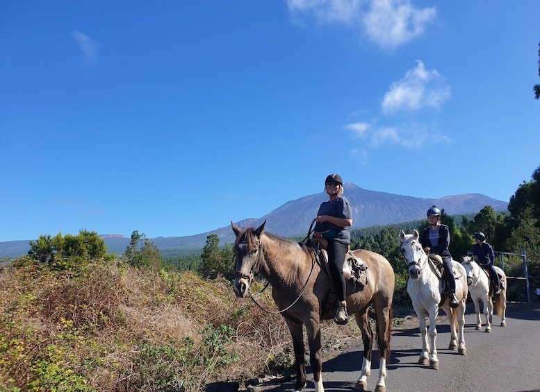 Three people riding horses on a road with a mountain in the background. 4